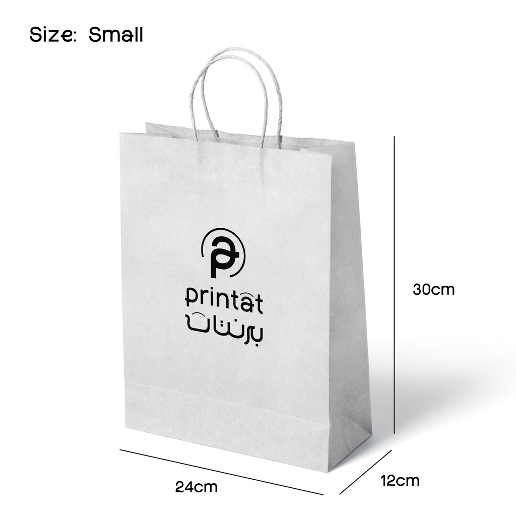 Color Kraft Paper Bag ( Single Color Logo )
