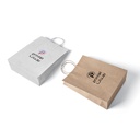 Color Paper Bag ( Single Color Logo )