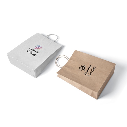 [1019] Color Kraft Paper Bag ( Single Color Logo )
